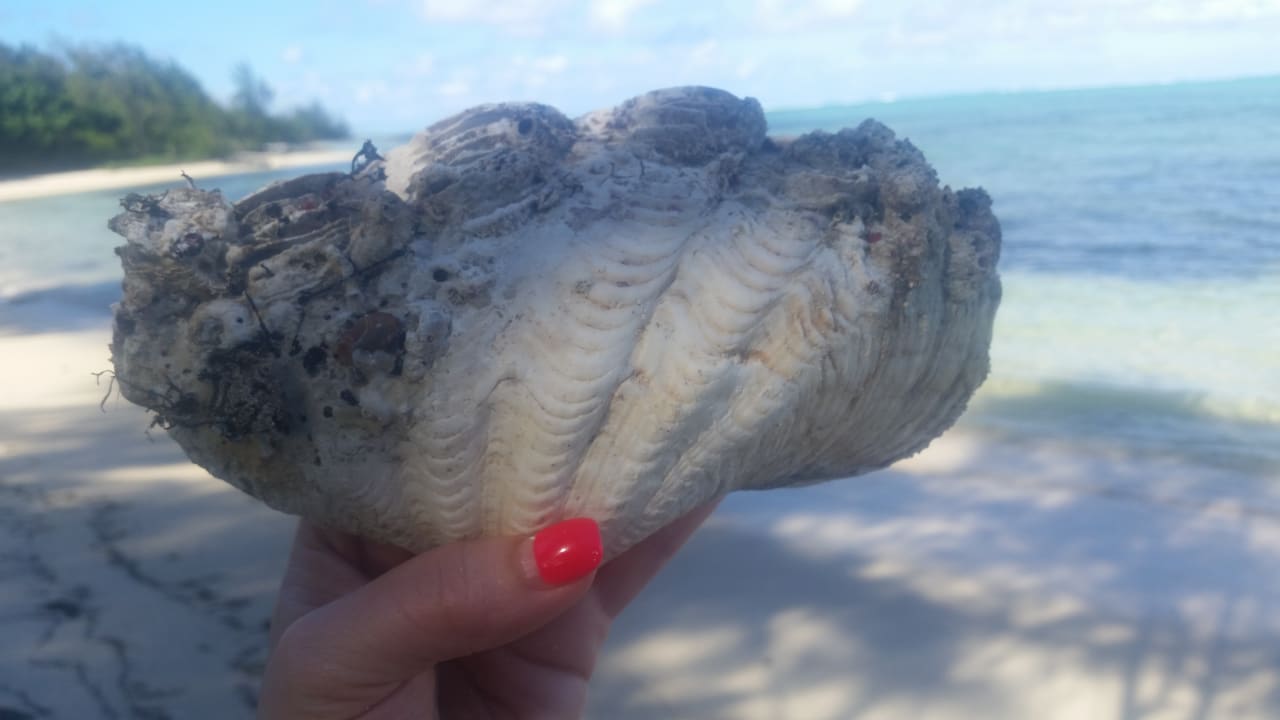 Strand Hotel Silver Beach