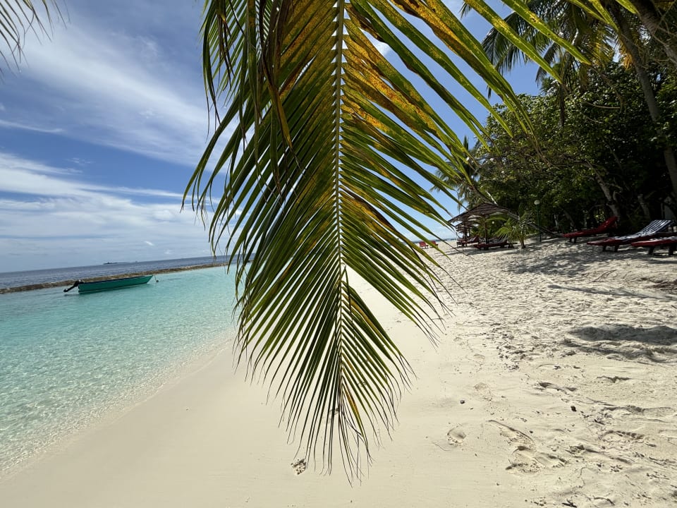 Strand Ellaidhoo Maldives by Cinnamon