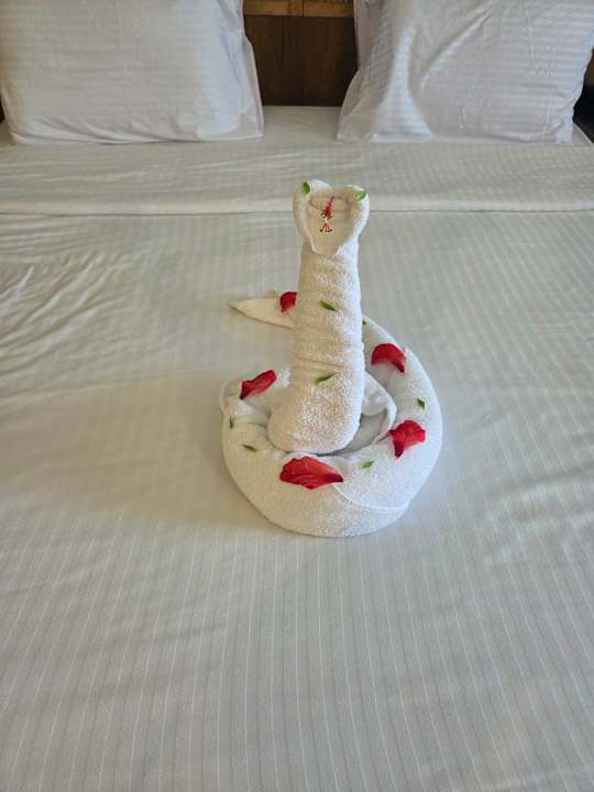 Zimmer Lazuli Hotel Marsa Alam