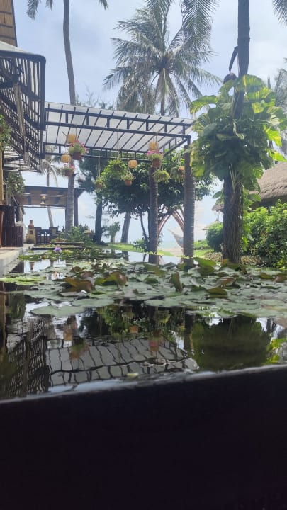 Gartenanlage Bamboo Village Beach Resort & Spa