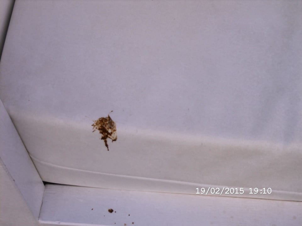 Auflagen Cabana mit Fäkalien Hotel Gold by Marina