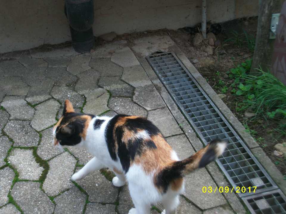 Sonstiges Ferienwohnungen Hugeseppehof