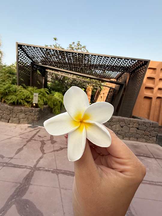 Gartenanlage Lopesan Baobab Resort