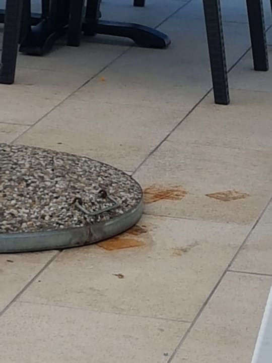 Sonstiges Sunnyside Apartments Petrcane