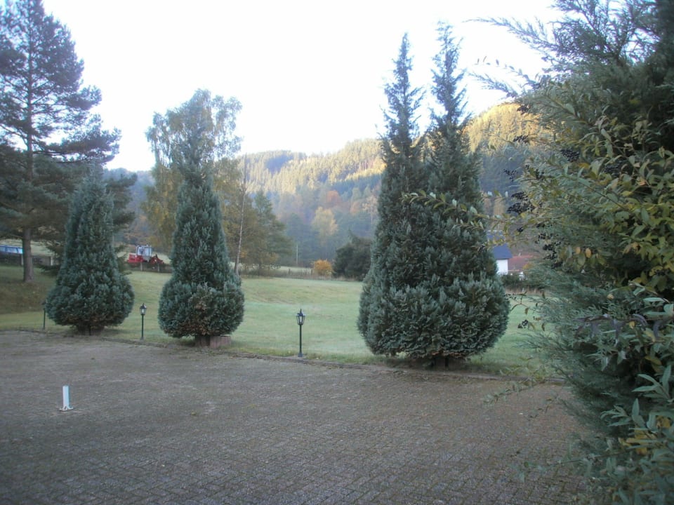 Ausblick vom Zimmer  Berghotel Mellenbach