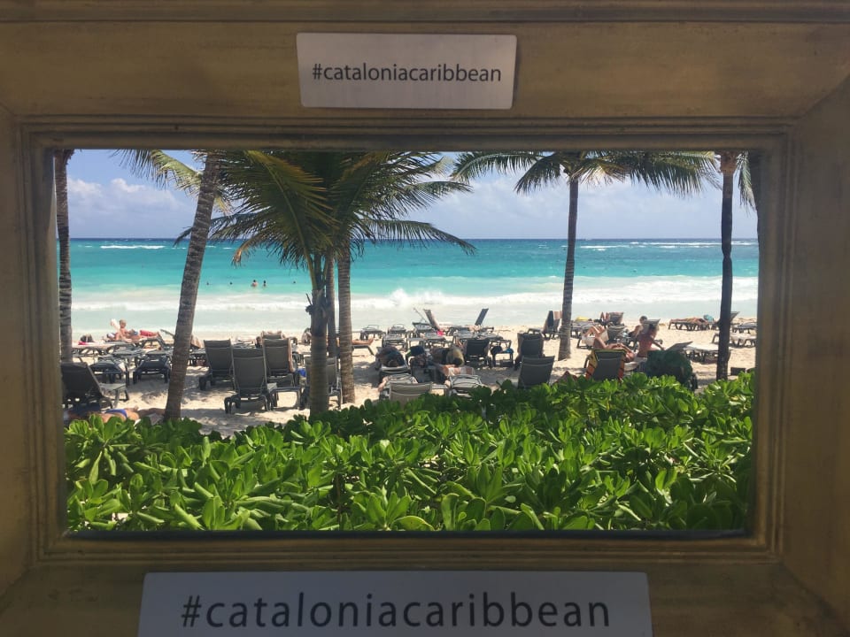 Garten, Strand Catalonia Royal Tulum Beach & Spa Resort - Adults only