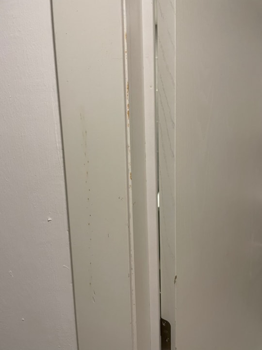 Zimmer Hotel Riu Republica - Adults only