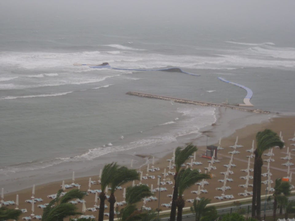 2 Tage Sturm PALOMA Perissia