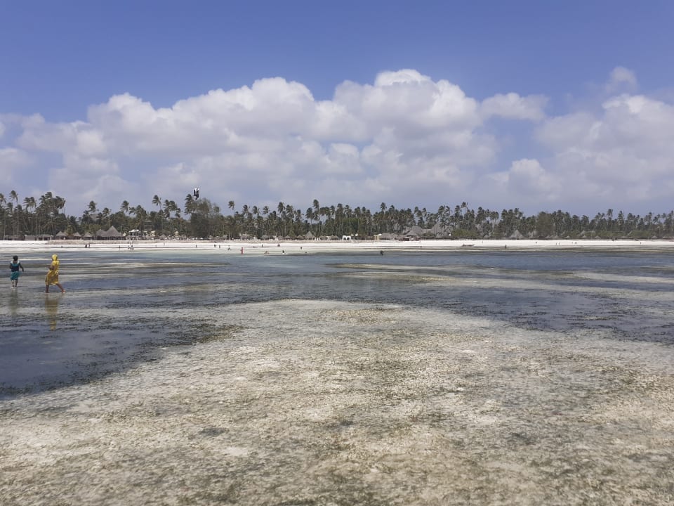 Ausblick Ocean Paradise Resort & Spa