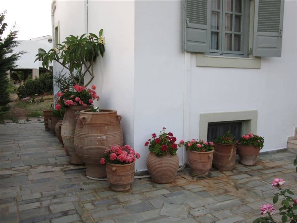 Gepflegte Anlage Hotel Angela Studios & Apartments