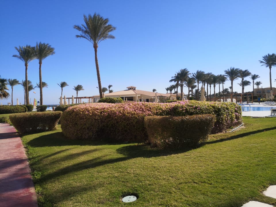 Gartenanlage Cleopatra Luxury Resort Makadi Bay