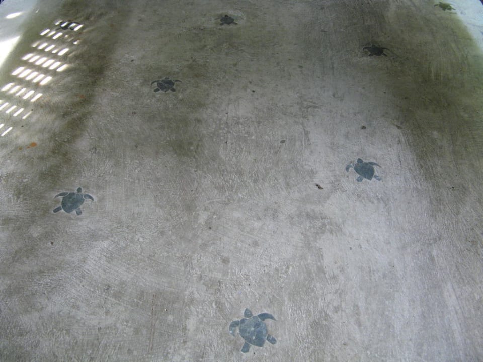 Weg zum Pool Hotel Pachira Lodge