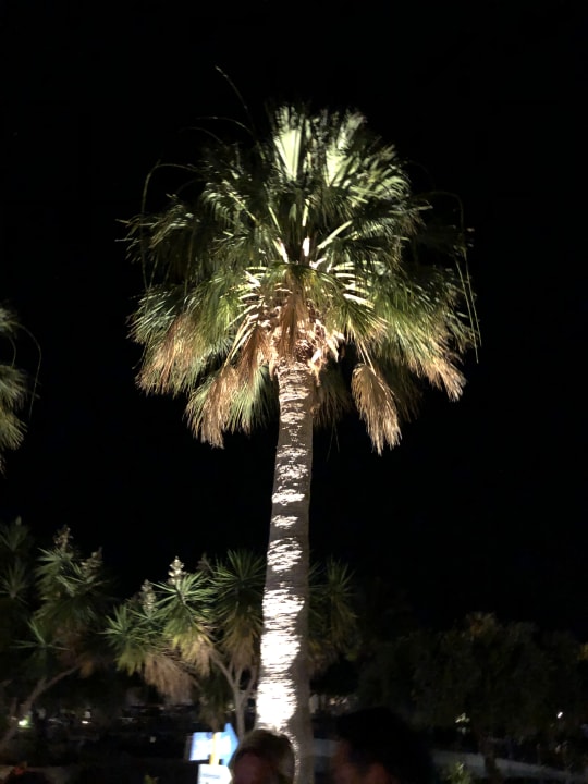 Gartenanlage TUI KIDS CLUB Alex Beach