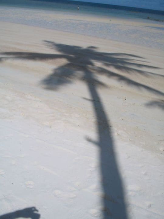 Palmschatten Long Bay Resort Koh Phangan