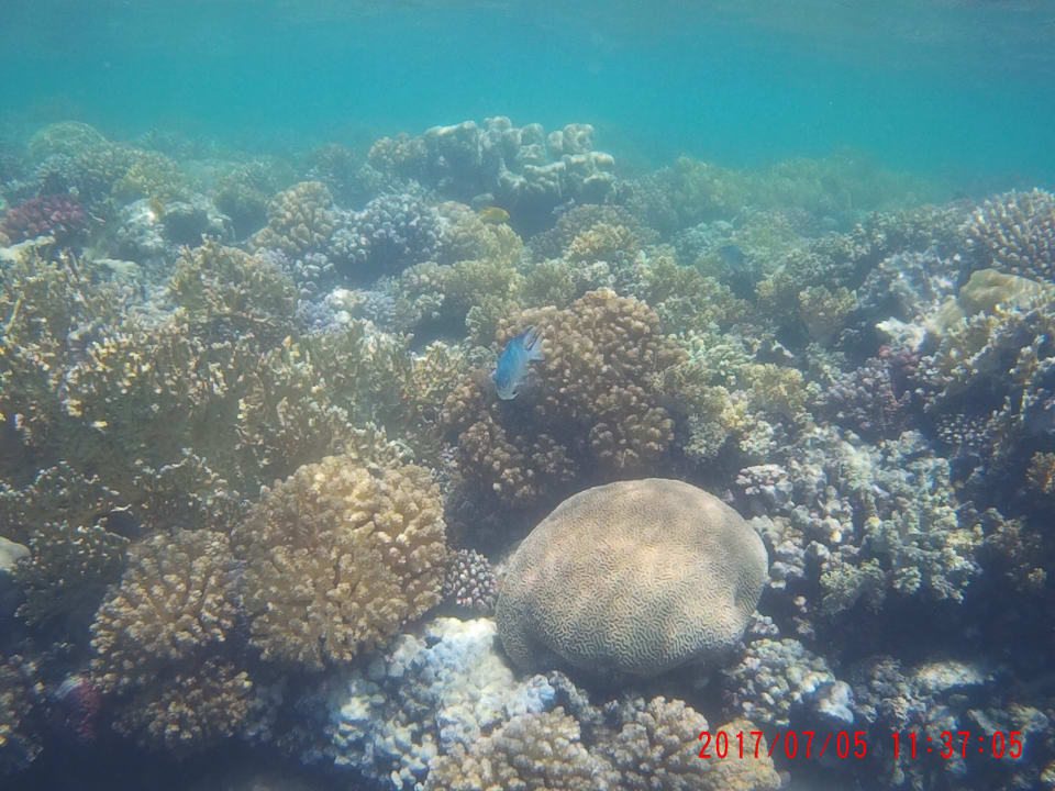 Sport & Freizeit Hotel Gorgonia Beach Resort