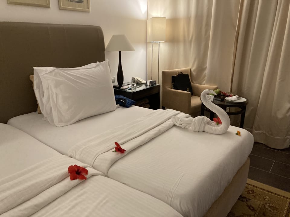 Zimmer Steigenberger Makadi Hotel - Adults only