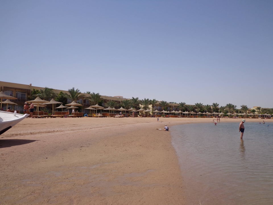 Sandstrand Desert Rose