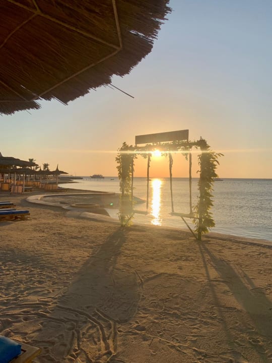 Strand Pickalbatros Palace Resort