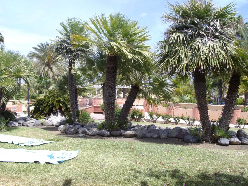 Eine kleine grüne Oase Suites & Villas by Dunas