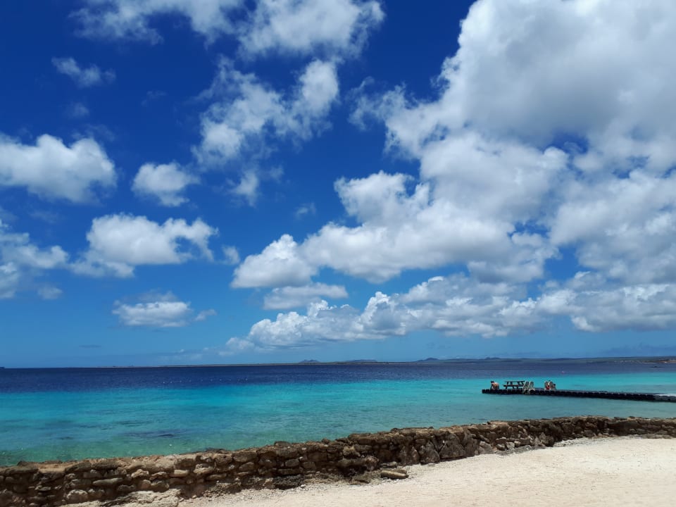 Strand Hotel Plaza Resort Bonaire