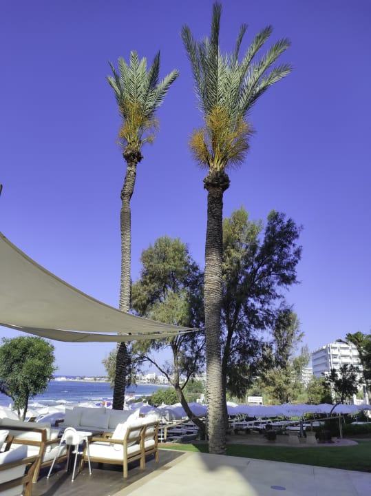 Gartenanlage Hotel Grecian Sands