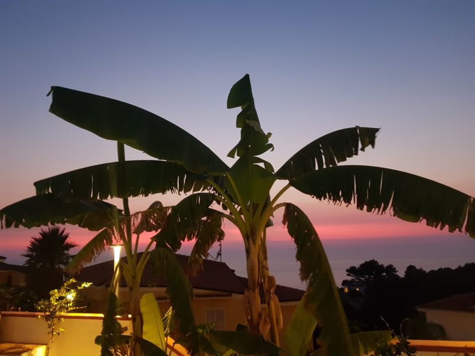 Gartenanlage TUI SUNEO La Conchiglia