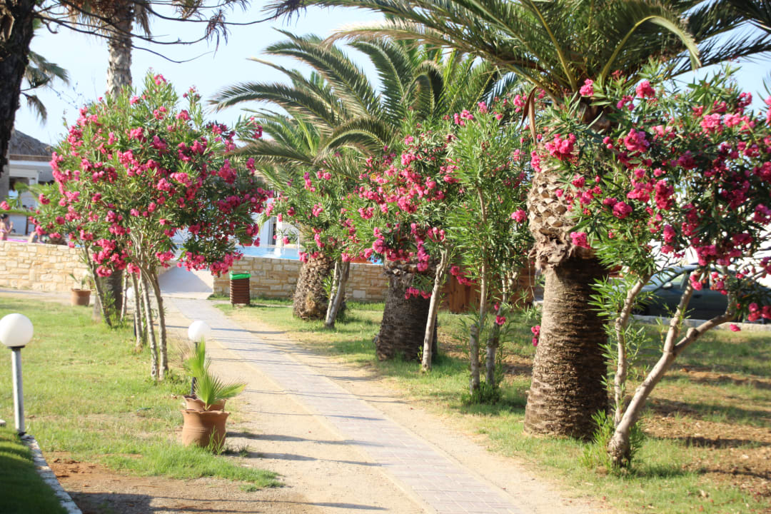 Gartenanlage HARPIN Happy Days Beach Hotel