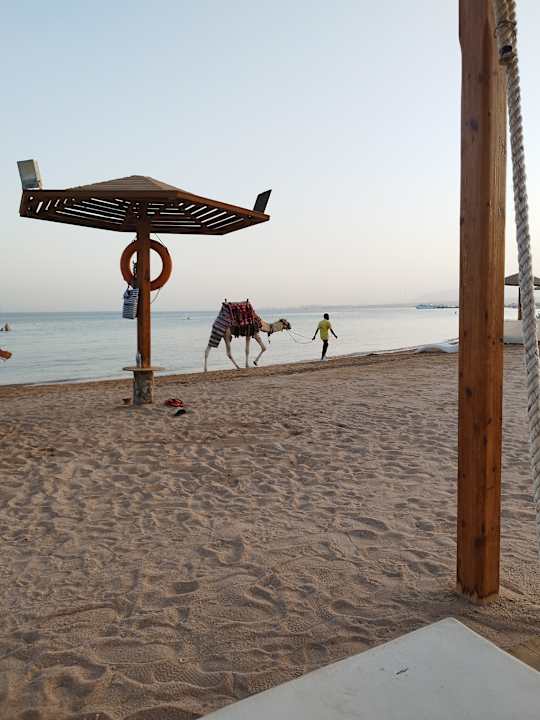 Strand Shams Prestige Abu Soma-Adults Only