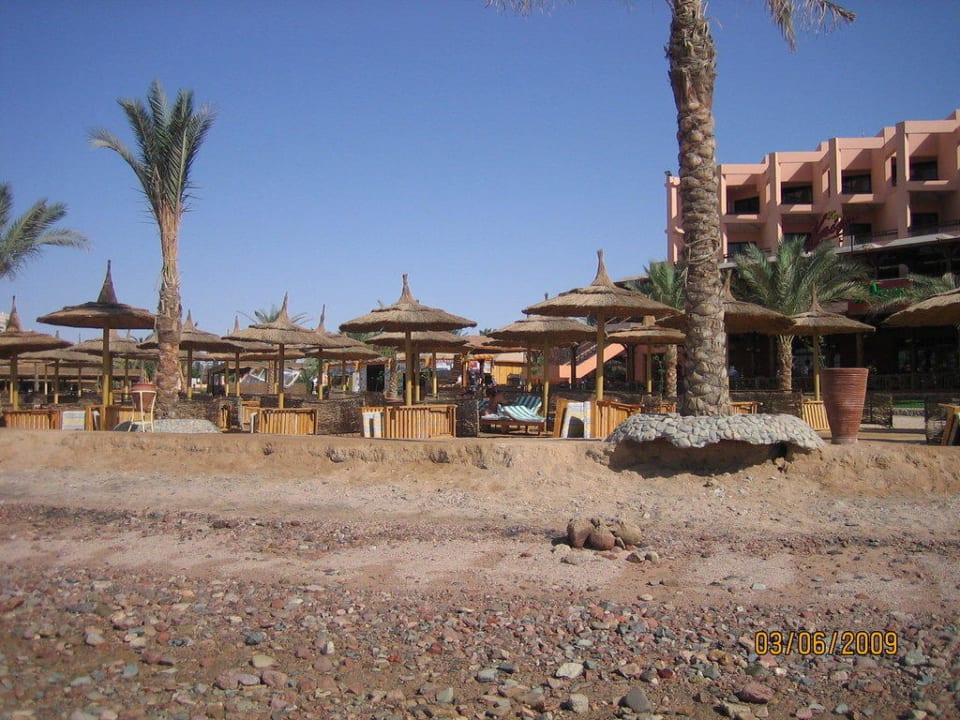 "Hotel eigenen Sandstrand" Pickalbatros Palace Resort