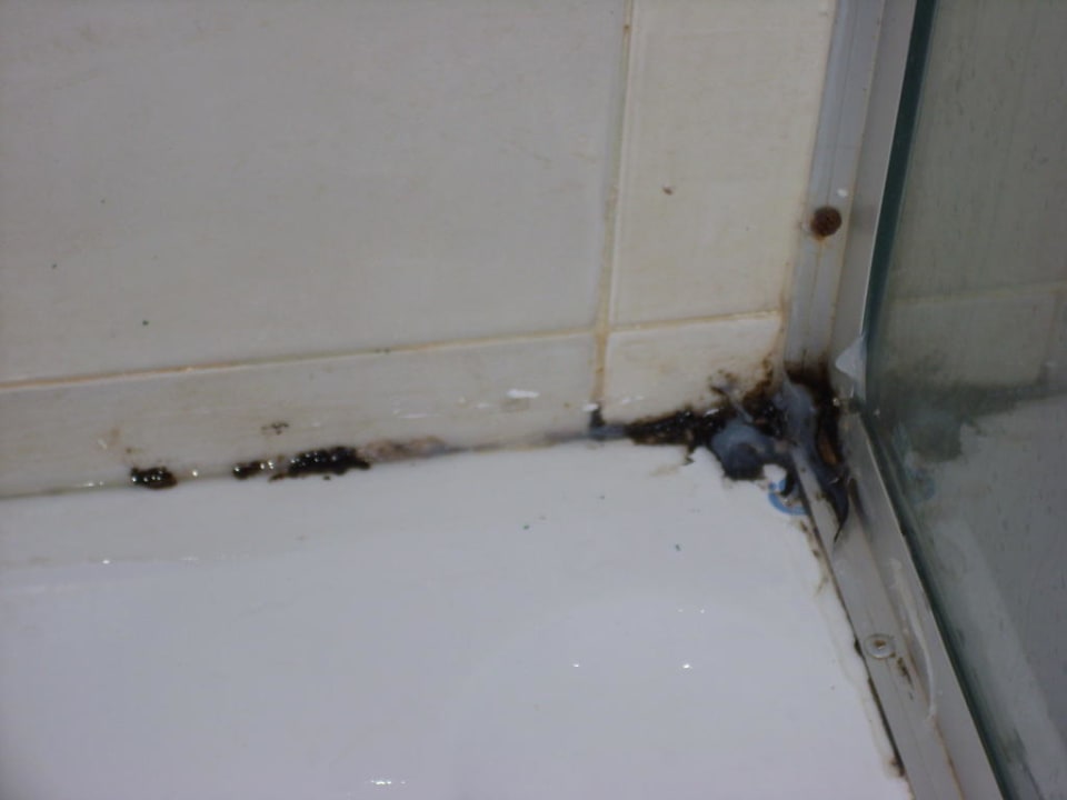 Badewanne Panorama Bungalows Resort El Gouna