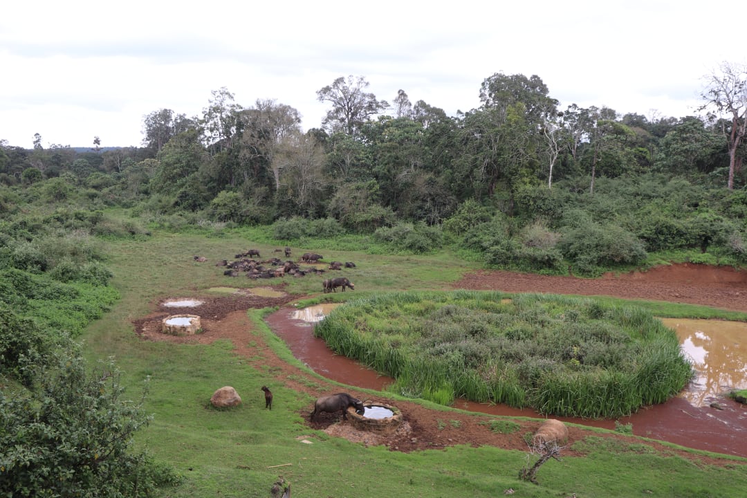 Außenansicht Hotel Serena Mountain Lodge
