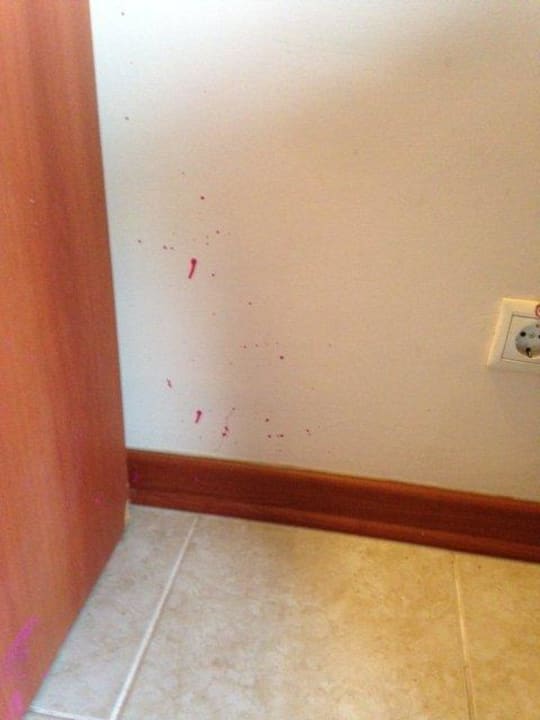 Flecken an Wand und Mobilar  Crystal Paraiso Aqua Collection