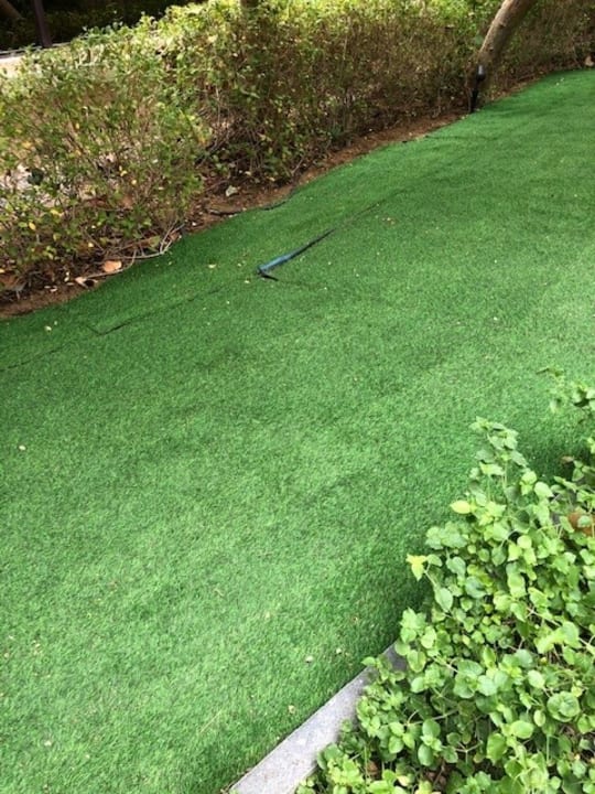 Außenansicht Anantara The Palm Dubai Resort