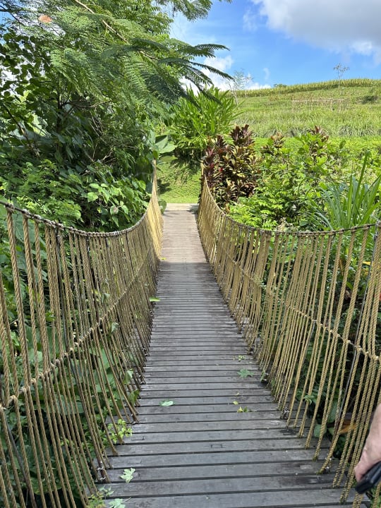 Gartenanlage Maya Ubud Resort & Spa Bali