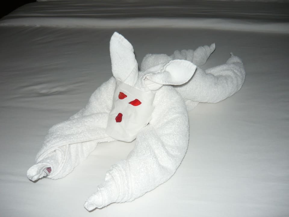 Kreative Dekoration TUI MAGIC LIFE Kalawy