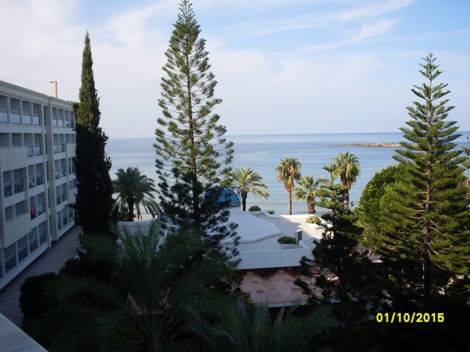 Restaurant zwischen Bäumen Top Hotel