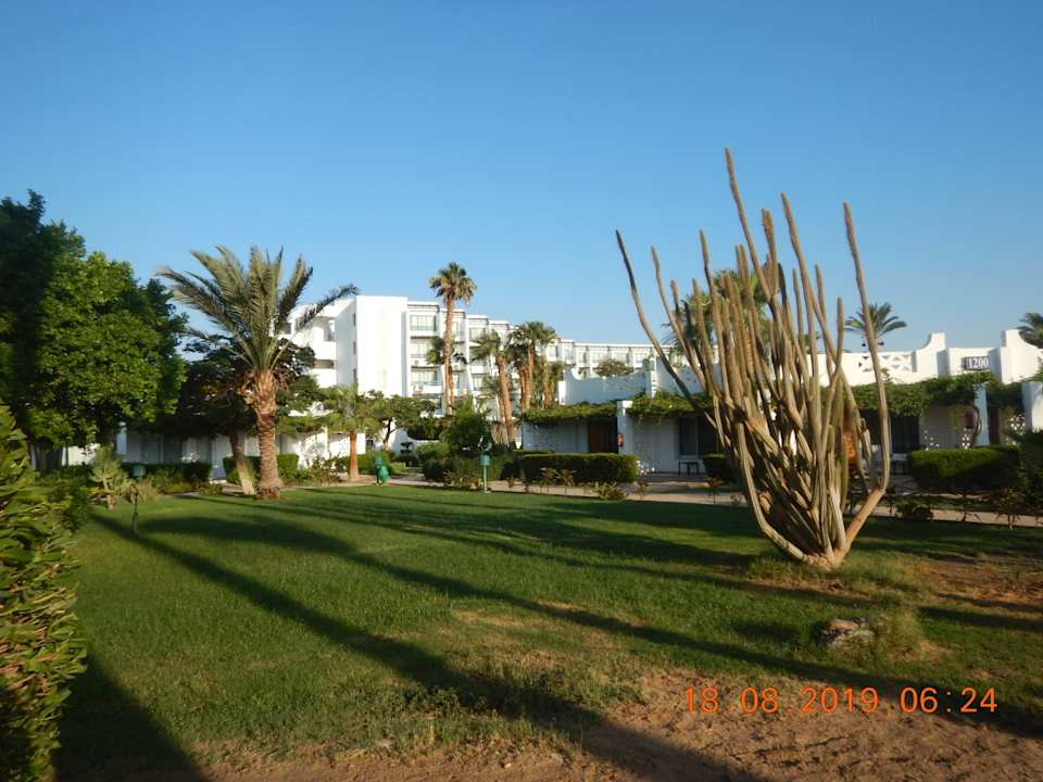 Gartenanlage Shams Safaga Resort