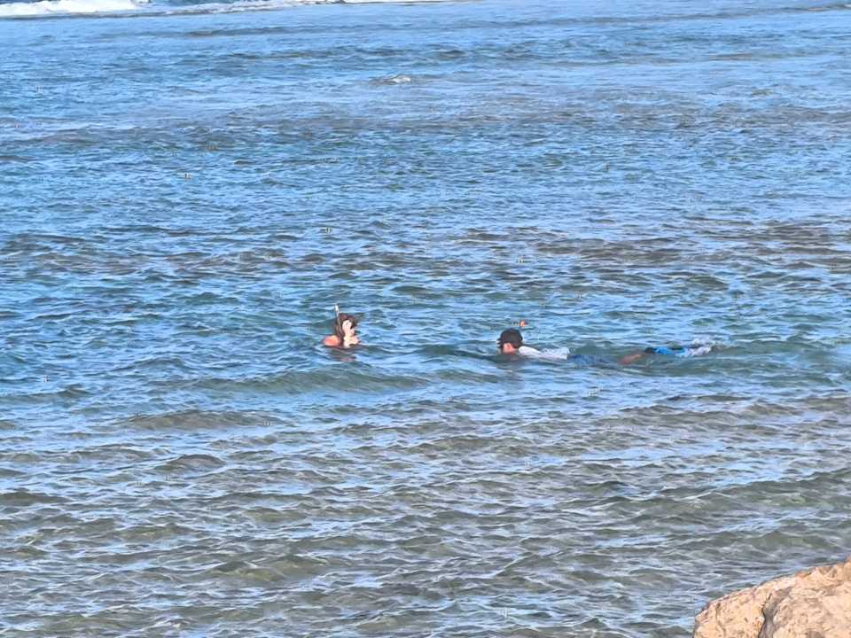 Strand Beach Safari Nubian Resort