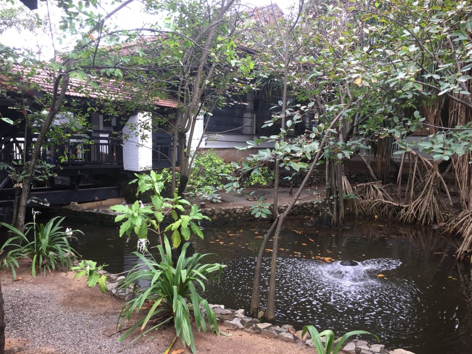 Gartenanlage Club Hotel Dolphin