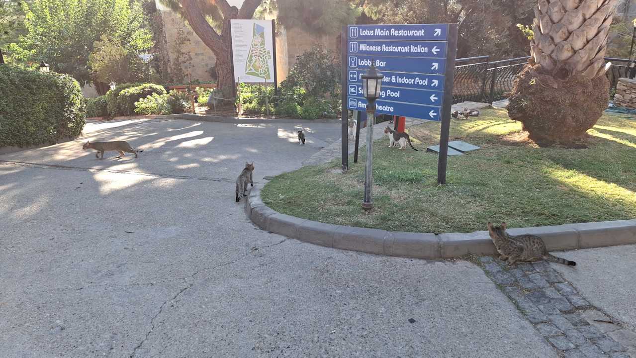 Gartenanlage Bodrum Park Resort