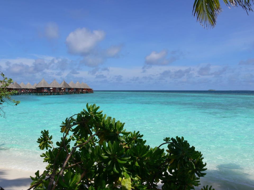 Direkt vor unserem Bungi Angaga Island Resort