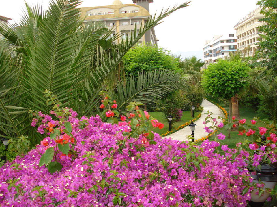 Weg durch den schönen Garten Aydinbey Kings Palace & Spa