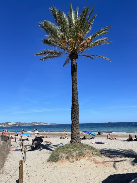 Strand FERGUS Style Bahamas