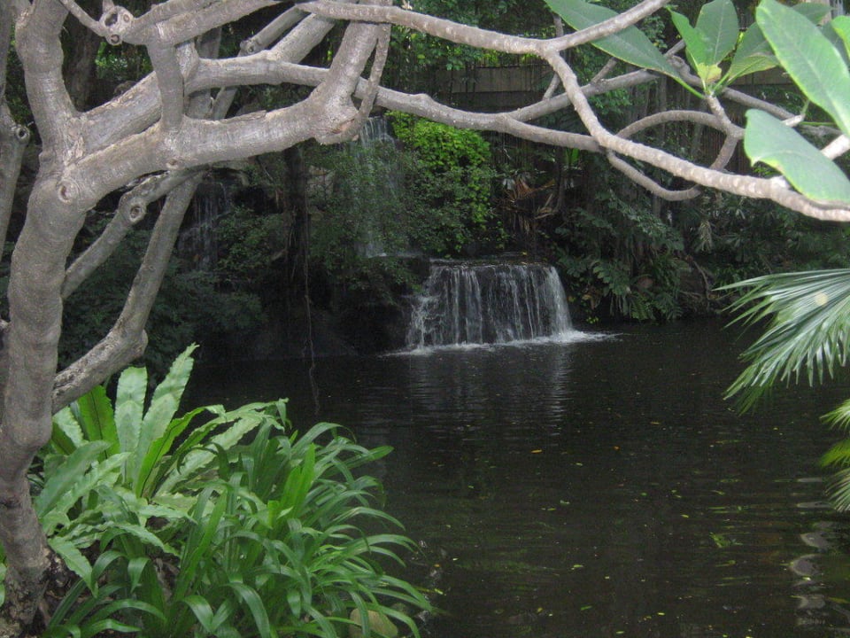 Gartenanlage Movenpick BDMS Wellness Resort Bangkok