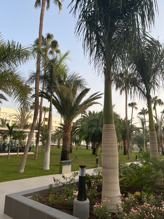 Gartenanlage Hotel Riu Gran Canaria