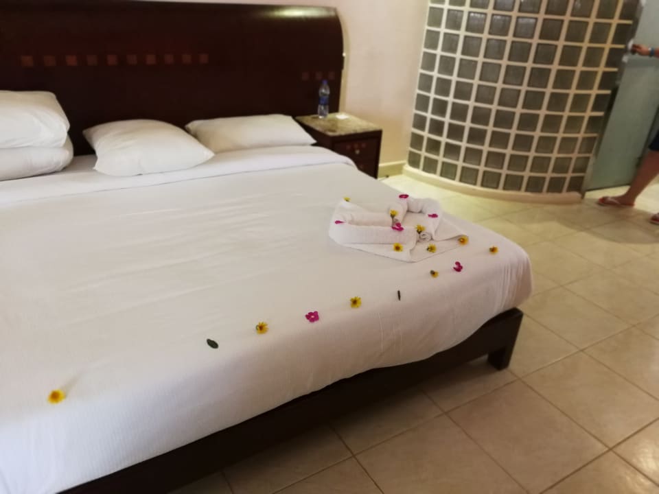 Zimmer Shams Prestige Abu Soma-Adults Only