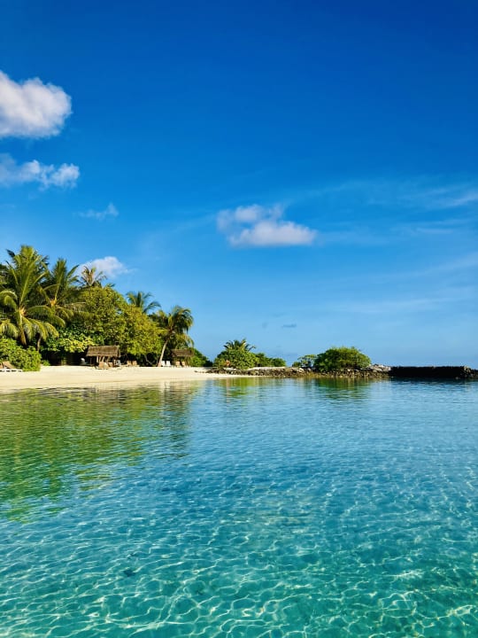 Strand Summer Island Maldives