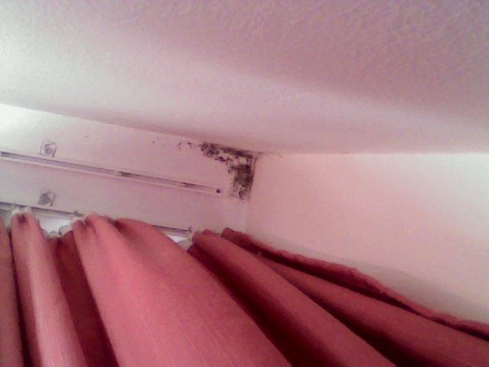 Schimmel an der Decke und Vorhängen allsun App.-Hotel Albatros