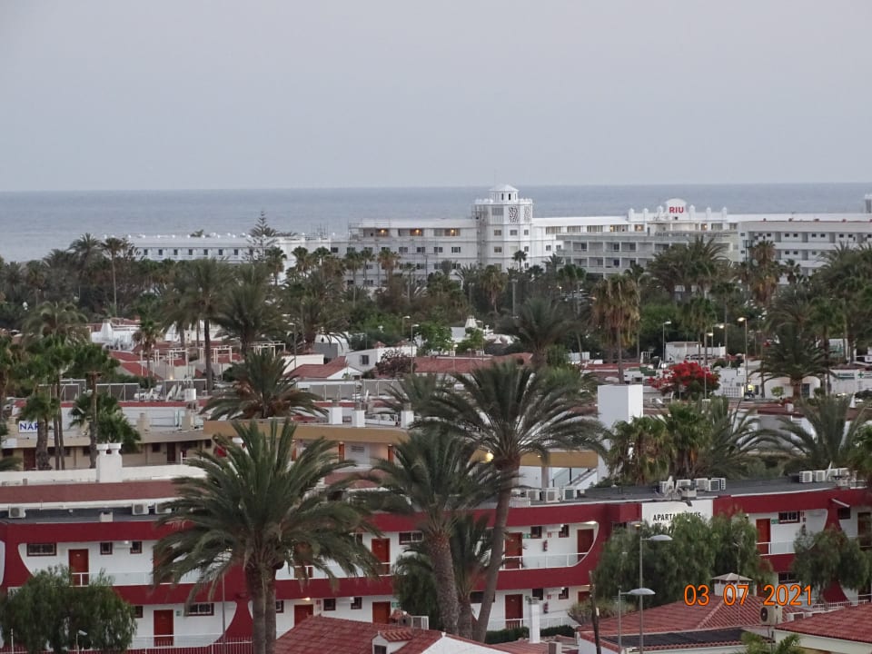 Ausblick Hotel Riu Palace Palmeras