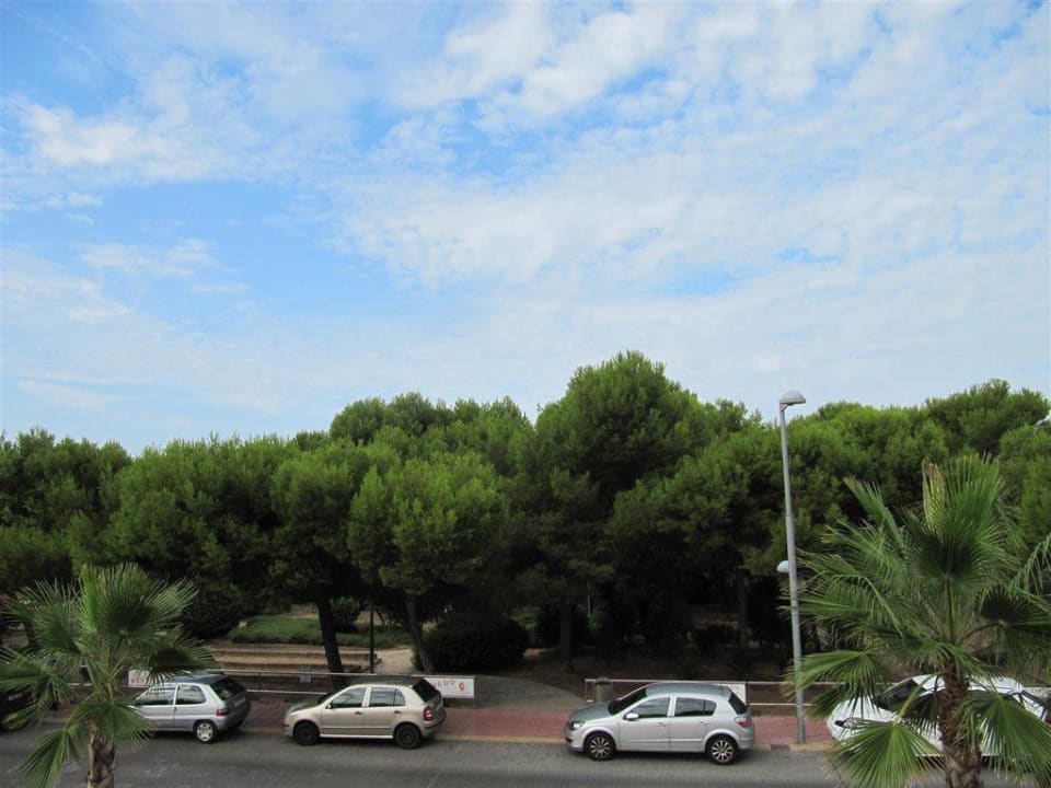 Blick vom Hotel auf den Park Aparthotel Houm Plaza Son Rigo